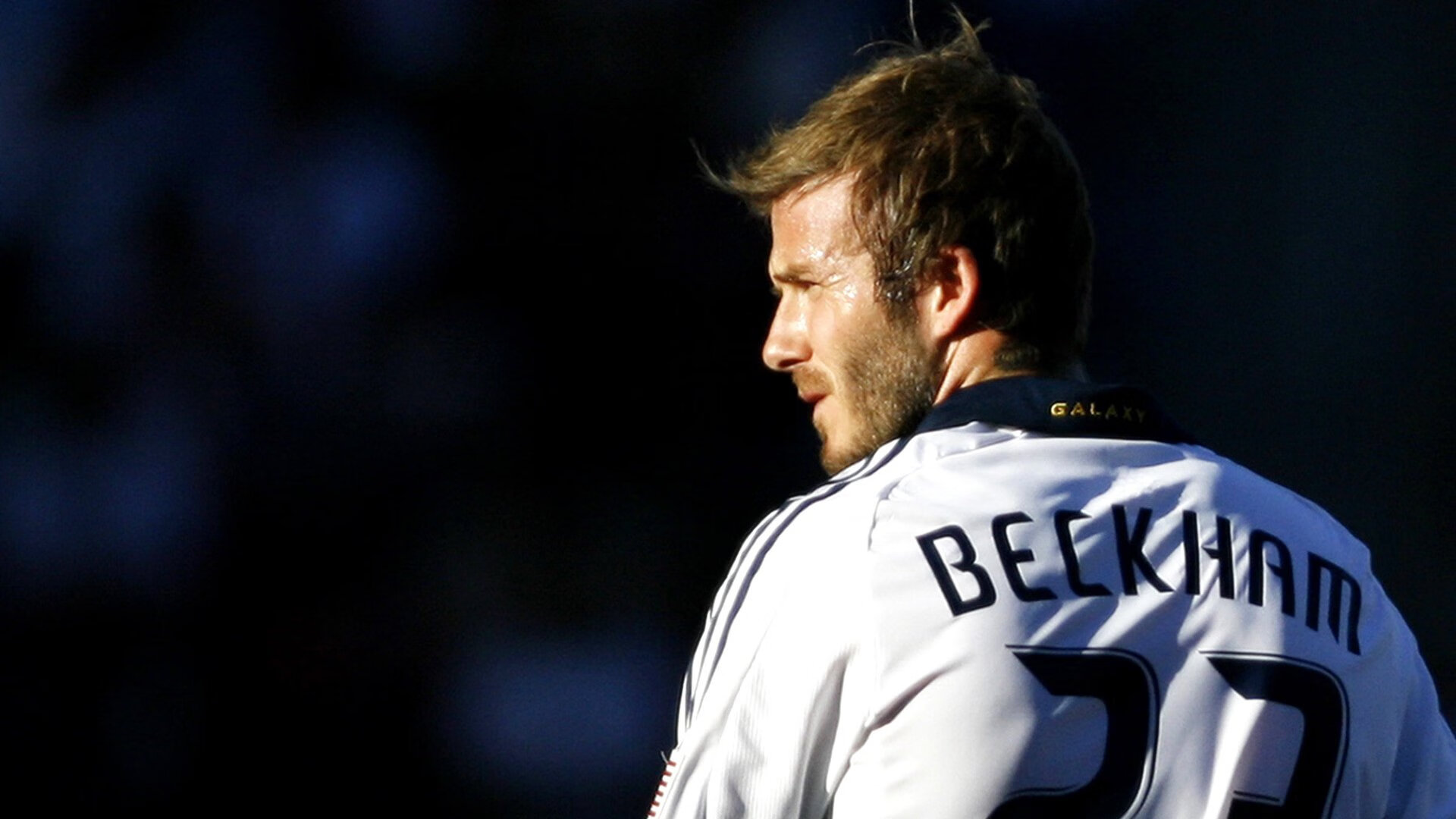 篮球职业联赛观众服务智能化升级，篮球赛观众席位置